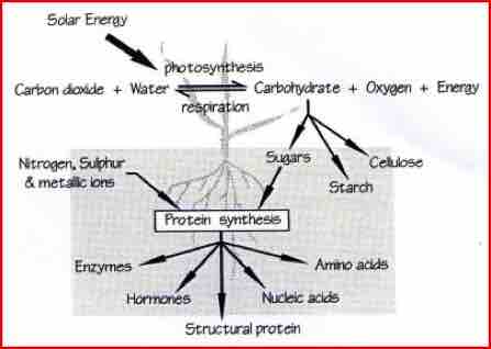 Solar Energy, Waternet Theydon UK
